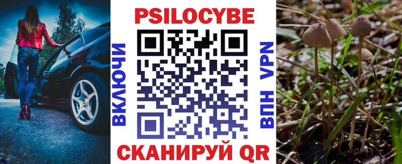 Купить закладки  Пласт  Галлюциногенные грибы GOLDEN TEACHER 